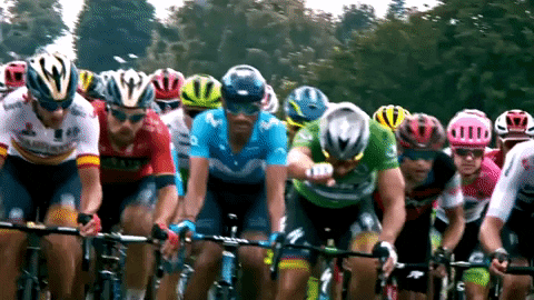 TDF